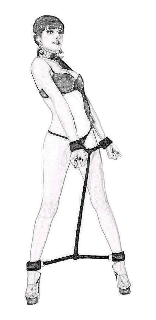 Inmobilizador De Muñecas Y Tobillos Sumision Bdsm Bondage - Imagen 2