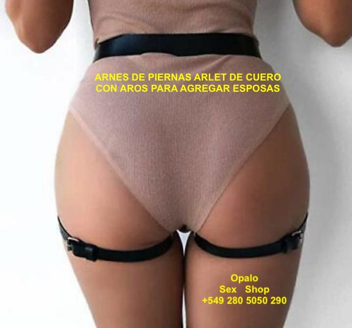 Arnes ARLET - Imagen 3