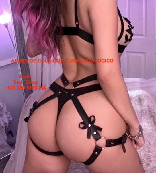 Arnes LAIA con moño - Imagen 3