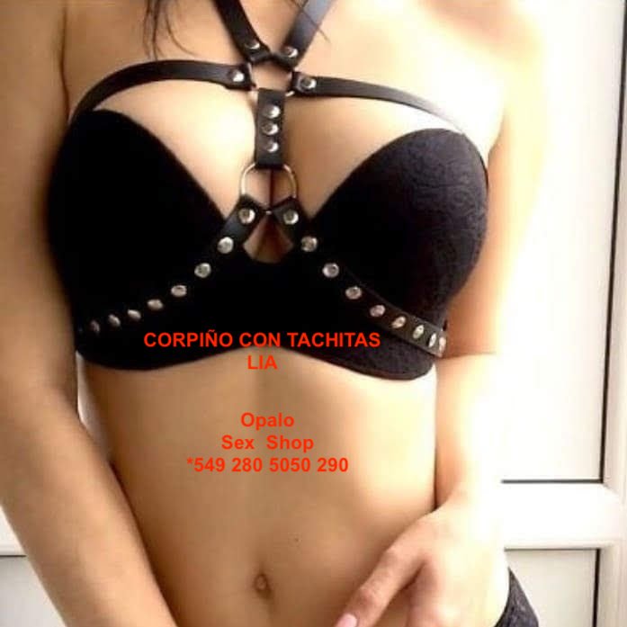 Arnes LIA - Imagen 4