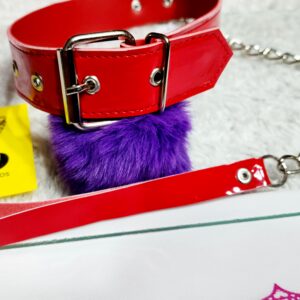 Collar charol con cadena